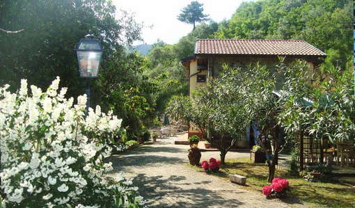 Agriturismo la Spezia Colline di Rossoli